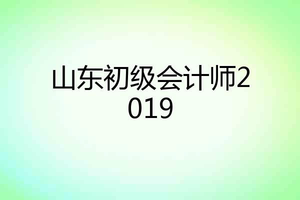 山东初级会计师2019