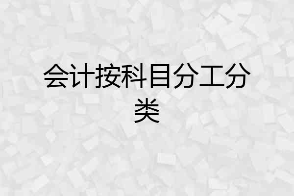 会计按科目分工分类