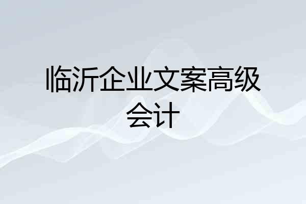 临沂企业文案高级会计