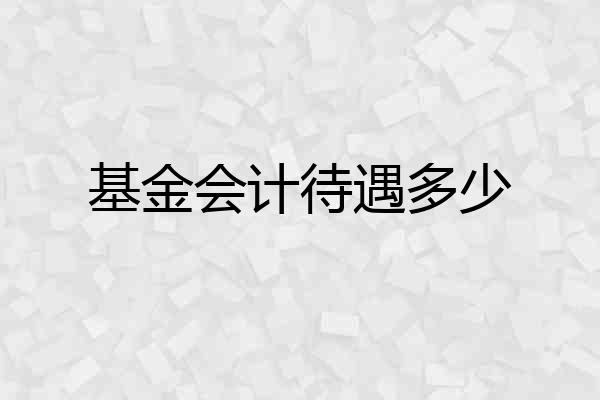 基金会计待遇多少