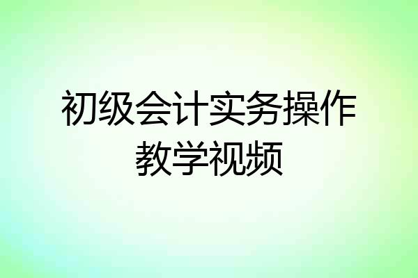 初级会计实务操作教学视频