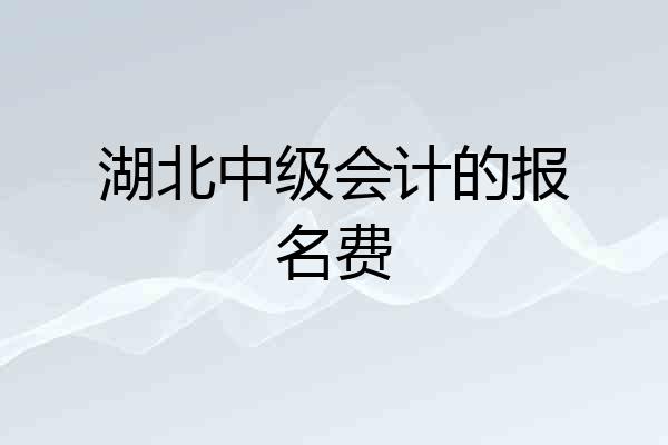 湖北中级会计的报名费