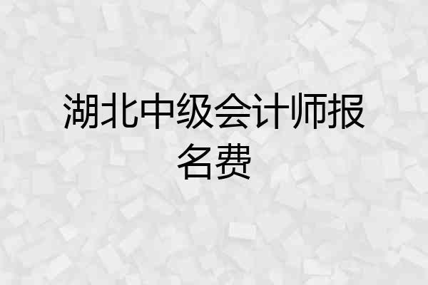 湖北中级会计师报名费
