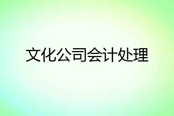 文化公司会计处理