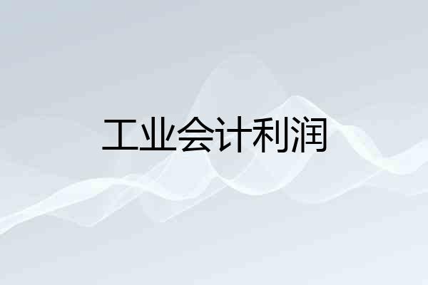 工业会计利润
