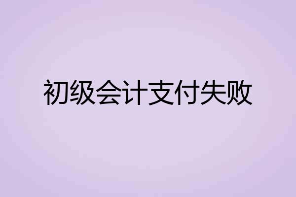 初级会计支付失败