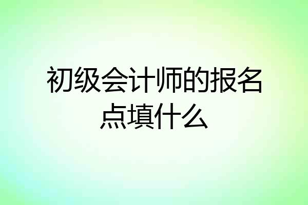 初级会计师的报名点填什么