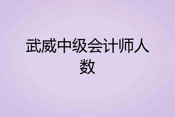 武威中级会计师人数