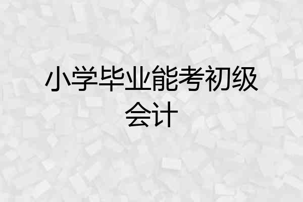 小学毕业能考初级会计