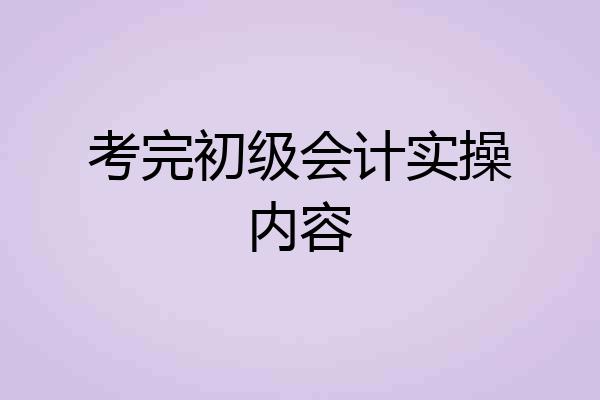 考完初级会计实操内容