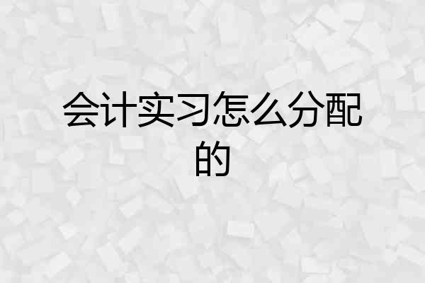 会计实习怎么分配的