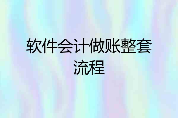 软件会计做账整套流程