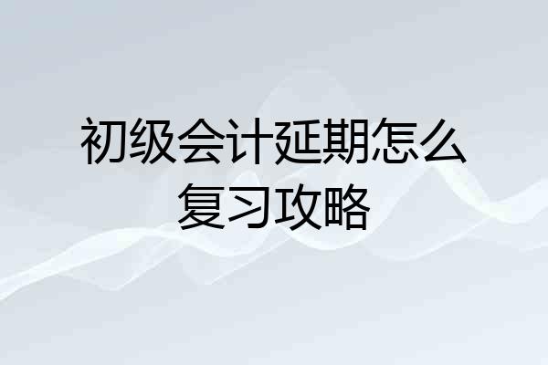 初级会计延期怎么复习攻略