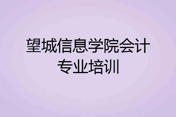 望城信息学院会计专业培训