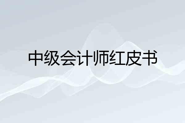 中级会计师红皮书