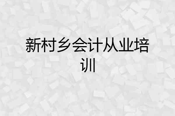 新村乡会计从业培训