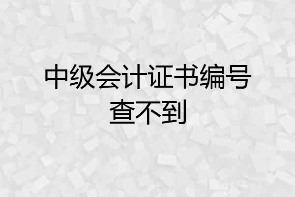 中级会计证书编号查不到