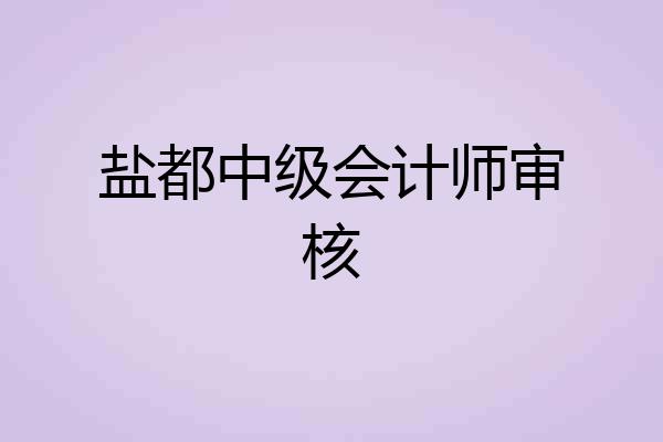 盐都中级会计师审核