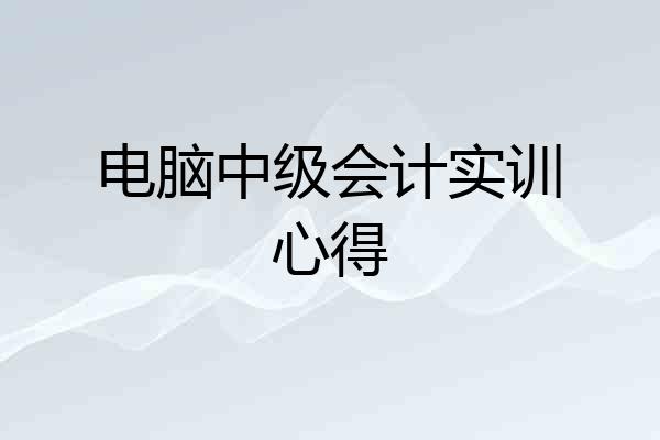 电脑中级会计实训心得