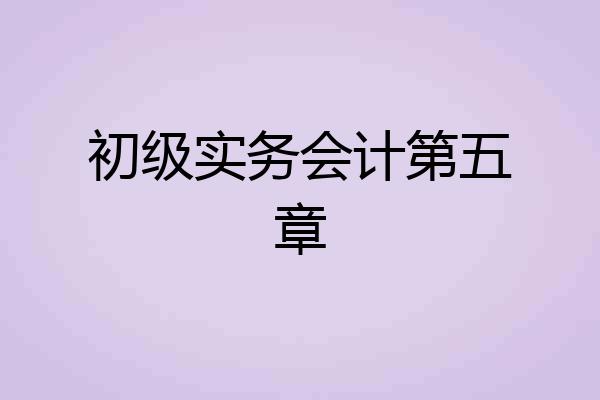 初级实务会计第五章