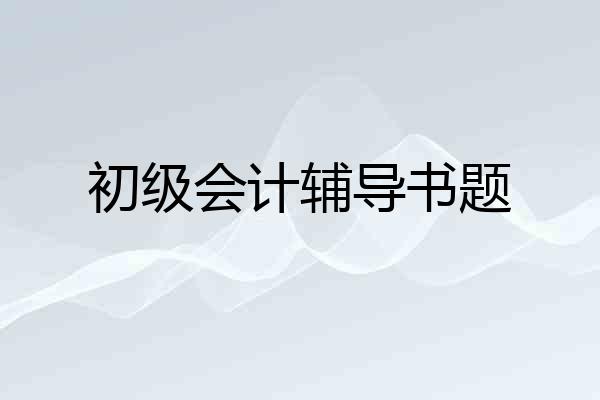 初级会计辅导书题