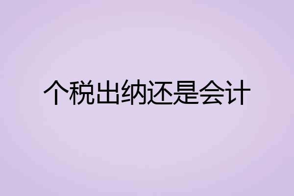 个税出纳还是会计