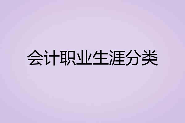 会计职业生涯分类