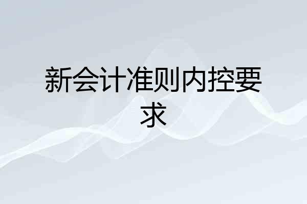 新会计准则内控要求