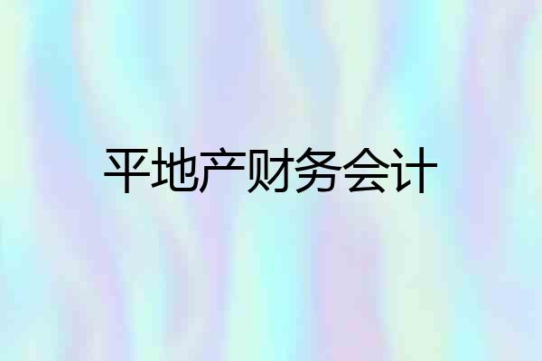 平地产财务会计