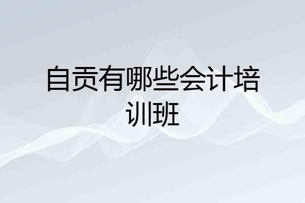 自贡有哪些会计培训班