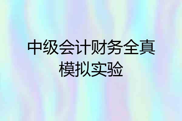 中级会计财务全真模拟实验