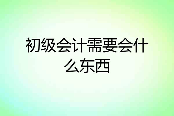 初级会计需要会什么东西