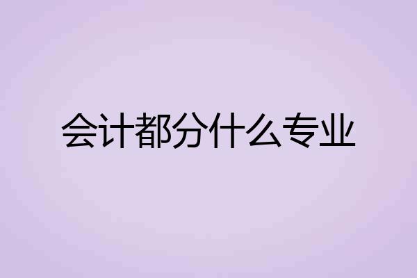 会计都分什么专业