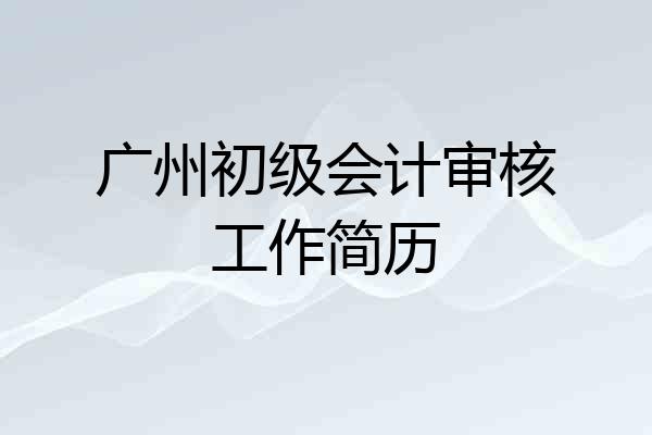 广州初级会计审核工作简历
