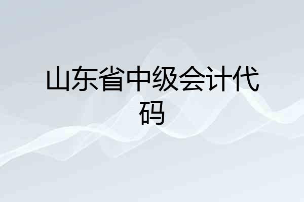 山东省中级会计代码