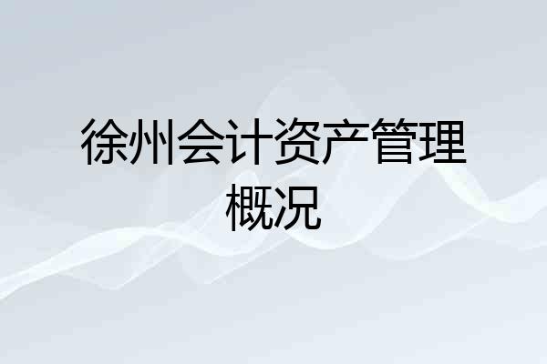 徐州会计资产管理概况