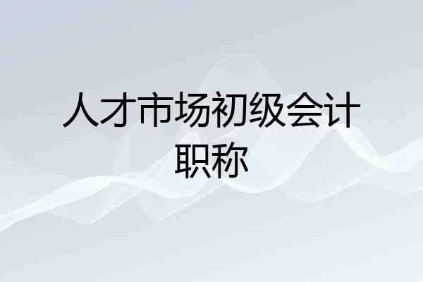 人才市场初级会计职称