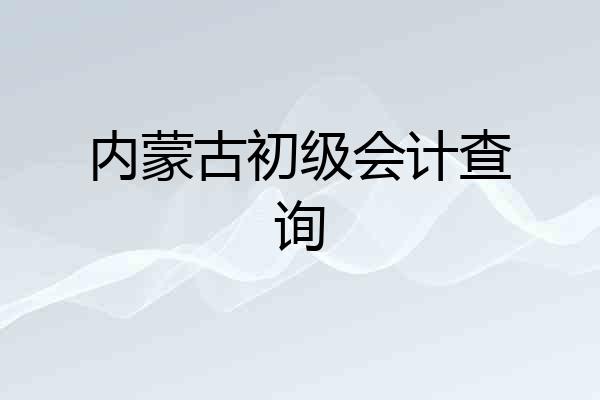 内蒙古初级会计查询