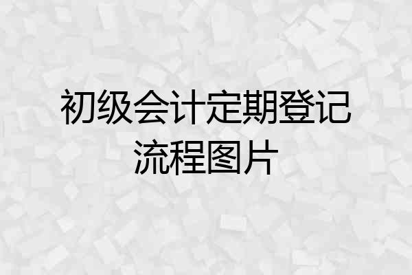 初级会计定期登记流程图片