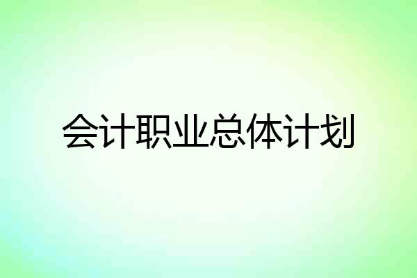会计职业总体计划