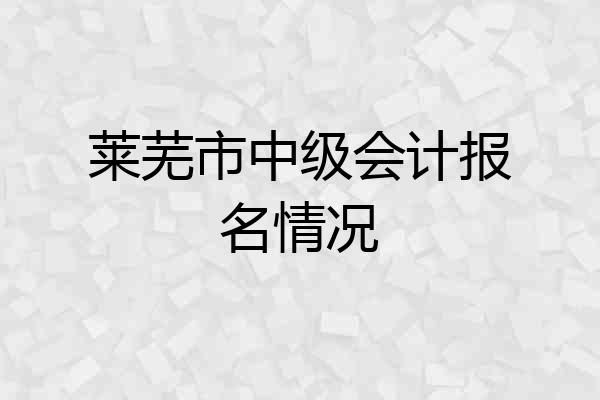 莱芜市中级会计报名情况