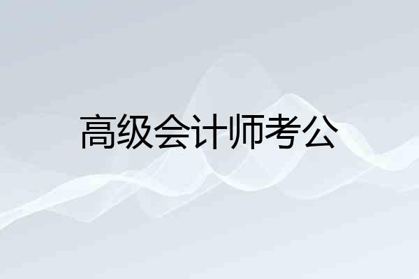 高级会计师考公