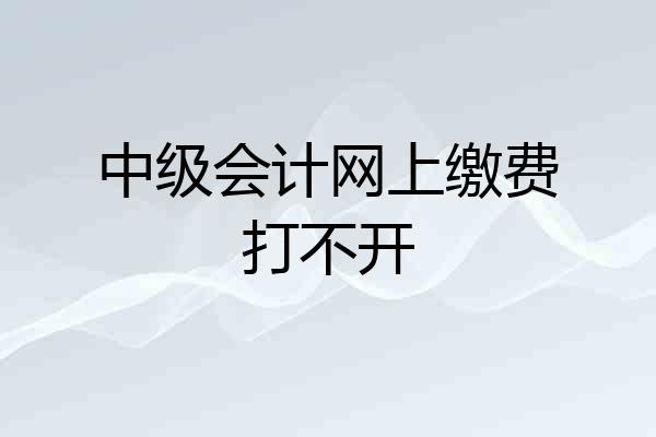 中级会计网上缴费打不开
