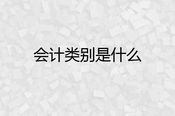 会计类别是什么