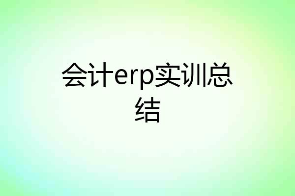 会计erp实训总结