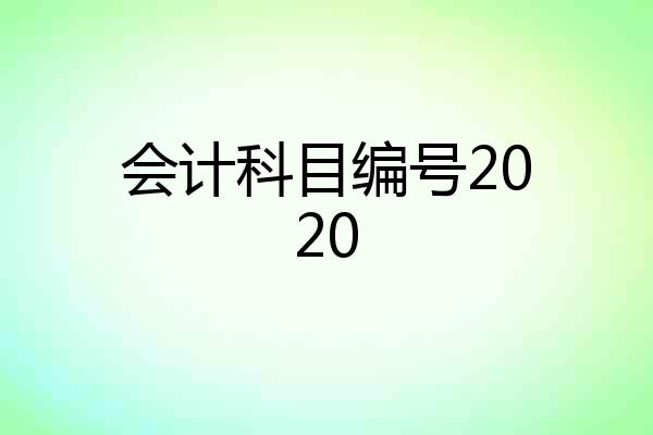 会计科目编号2020