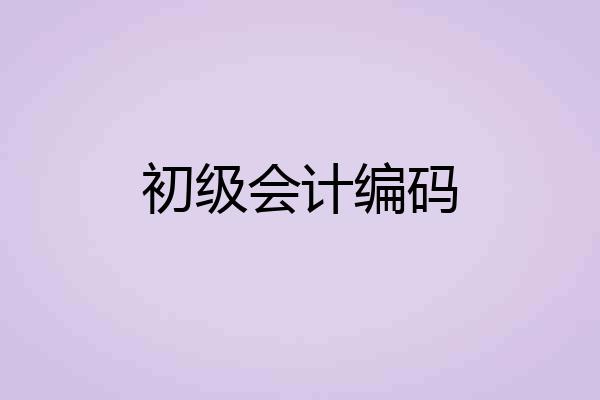 初级会计编码