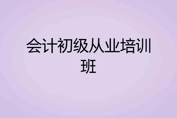 会计初级从业培训班