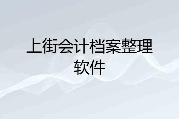 上街会计档案整理软件