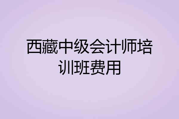 西藏中级会计师培训班费用